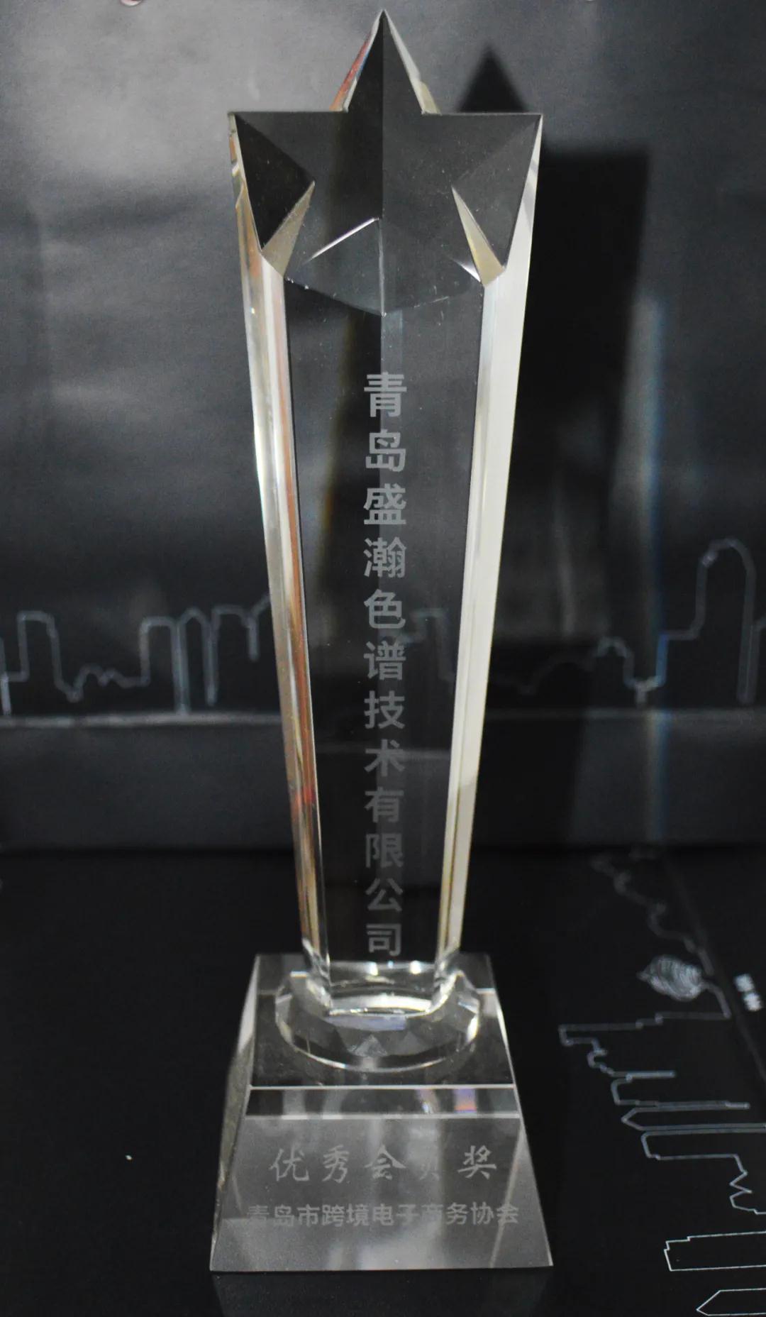 永利集团3044noc登录入口色谱荣获优秀会员奖